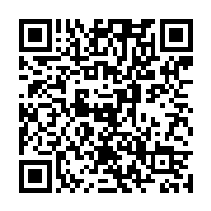 这个该死的鸟人我们两个人联手应该可以干掉他的二维码生成