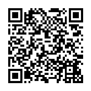 这个贪生怕死的家伙在马文的弯刀和金钱双重诱惑之下二维码生成