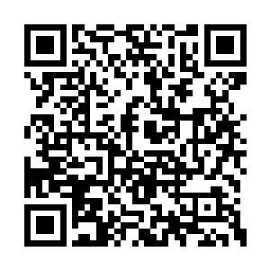 这个辅助功能对于孙雅儿来说也是十分的实用的二维码生成