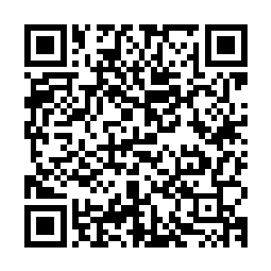 这个近身格斗我真的不行啊……而且……打打杀杀的多不文明啊二维码生成