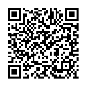 这个还真的就不是你想要更改就可以随意更改的二维码生成