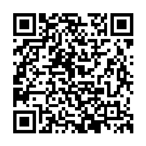 这个连续杀了四位高手却一直没有出全力的存在二维码生成