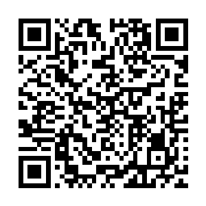 这个道纹不属于洛离所拥有的十八个天道法则碎片的任何一个二维码生成