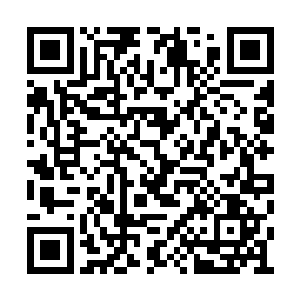 这个错误判断给了林锐等人趁势突围的绝佳机会二维码生成