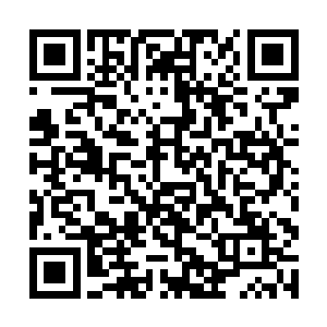 这个闪电军团随意一个士兵都有半元素化以上的实力二维码生成