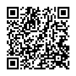 这个问题当着娲蛇神大人我是没有这个胆子问的二维码生成