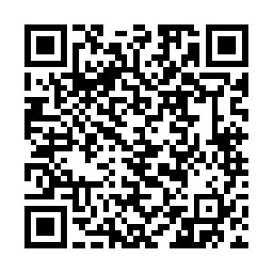 这个面罩也仅仅能够遮挡元婴期以下修士的窥探而已二维码生成