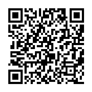 这个骑龙岭风景区又是你一手招商引资搞起来的二维码生成