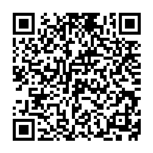 这个huā衣女子竟然是在他心中一直冰冷切总是一袭青衣的夜清梦二维码生成