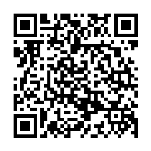 这个snake战队是前不久才在tja大奖赛上突然崛起的一匹黑马二维码生成