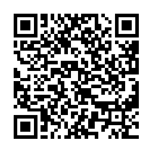 这丫头最让人同行崩溃之处还不是她的炼药进阶速度二维码生成