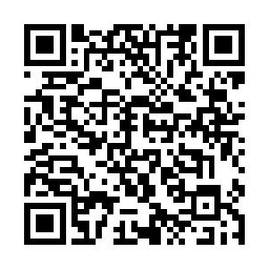 这丹炉也必须是由修真者来操控才能够炼制出美颜丹二维码生成