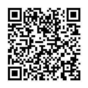 这么一个人要怎么才能够和国家队的战术体系融合二维码生成