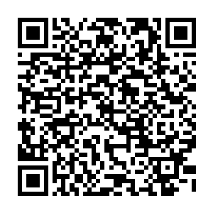 这么多个剧本打下来……难道你对自己伙伴的实力都没有一个确切概念的吗二维码生成