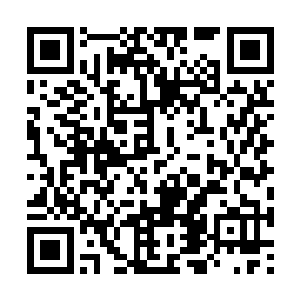 这么多人竟然连一个老婆子和一个小女娃都抓不住二维码生成