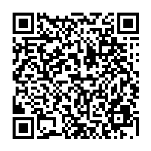 这么多人闹出这么大的动静还不知道往水里跑还傻愣愣的扑腾着褐色的翅膀二维码生成