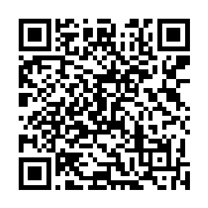 这么多天苏凡一直都没有什么安排已经让他有点坐不住了二维码生成