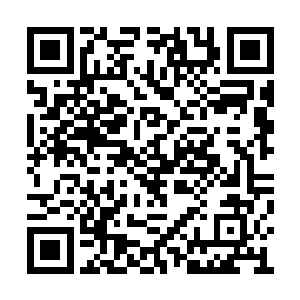 这么多年他唯一记挂的怕就是沈家的绿玉牡丹了二维码生成