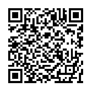 这么多年来为了天皇陛下的伟大计划而尽心尽力二维码生成