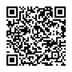 这么多年过去小九的外貌早就和原先有了巨大的改变二维码生成