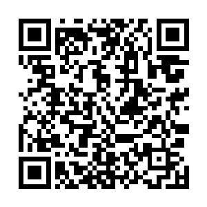 这么大的灵力输出即使是以龙傲天跟小金也是有些吃不消二维码生成