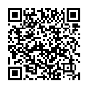 这么大的翅膀安装在个头比常人娇小的玛利亚婆婆身上二维码生成