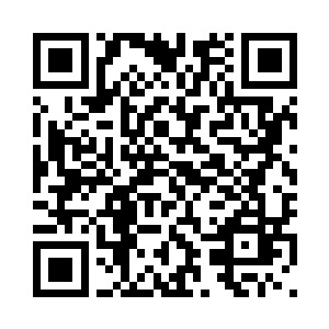 这么宝贵的时间莫小鱼怎么会放过二维码生成