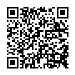 这么恶劣的事件为什么到现在都没有抓到肇事车辆二维码生成