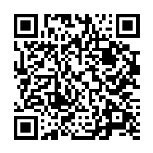 这么漂亮的东西不能让人看到却要藏在角落里实在是可惜二维码生成