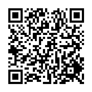 这么点小钱甚至都没有动用电影基金这冲大杀器二维码生成