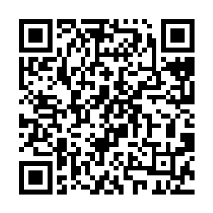 这么重要的事情就这么告诉我们主人不怕我们报家族二维码生成