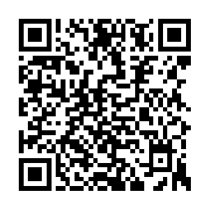 这九九灵山风采录一一在此虚拟记忆空间被激活二维码生成