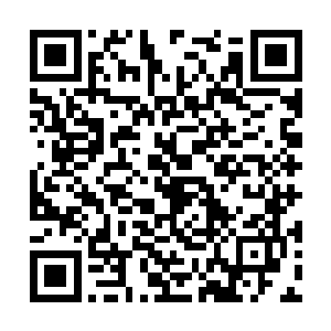 这九阳之火是他当初修炼九转金身决时附带的能力二维码生成