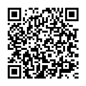 这也从另一个角度证实了服部良一的下场了……已经死于非命二维码生成