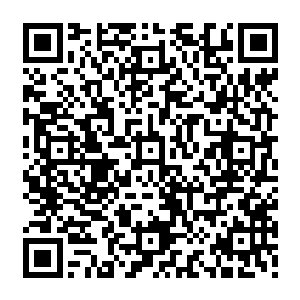 这也使得所有压力都压在了亚历克斯的肩膀上――他对自己的演技可没有足够的自信二维码生成