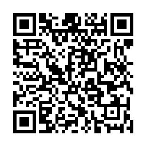 这也只是一个提议而已――即使你无法适应这种体验模式二维码生成