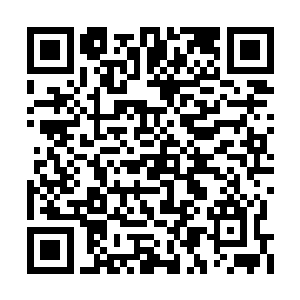 这也导致风灵部落是这个煞星中最为富有的部落二维码生成