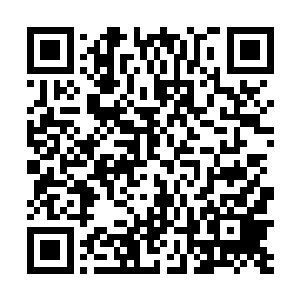 这也就导致在叶秋发现对方在全力攻击自己一方的时候二维码生成