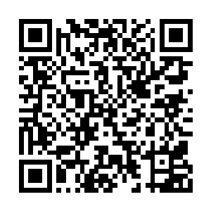 这也就是向整个世界宣布了他就是自己的继承者二维码生成