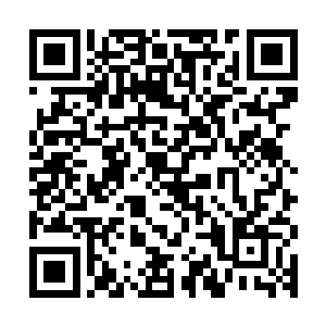 这也就解释了这头幼崽为什么无论是原型还是人形都那么瘦弱了二维码生成