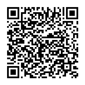 这也是一年之中最适合全年龄段类型的合家欢电影上映的两个档期之一二维码生成