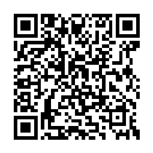 这也是两只巨兽在冬日的天空下厮杀的情景……二维码生成