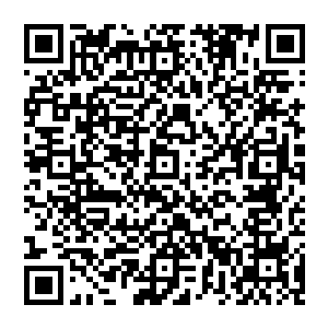 这也是为什么仅仅一百多年拉斯维加斯就能从一个默默无名的小村落变成世界上知名的豪华度假胜地二维码生成