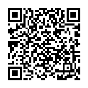 这也是为什么他们知道天阵大陆存在一些渡劫成功的人呢二维码生成