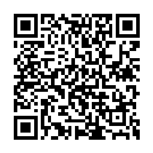 这也是为什么很多人对个人精英赛不感冒的原因二维码生成