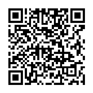 这也是为什么很多修士明明知道太初紫气威力颇大二维码生成