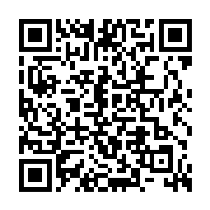 这也是为什么德米斯大长老提到天神卫队的时候二维码生成