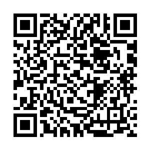 这也是他为什么前面三轮比试会这么认真对待的原因二维码生成