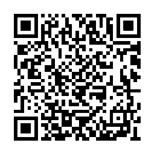 这也是地球为什么能产生这么多高阶修士的原因二维码生成