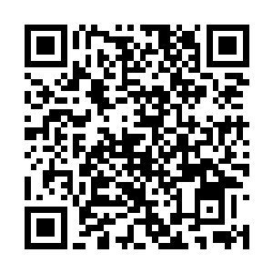 这也是奥斯卡颁奖典礼红地毯上出现特蕾西身影时二维码生成